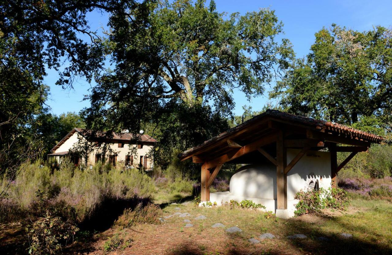 Bed and Breakfast L'Atelier Du Grison Callen Exterior foto